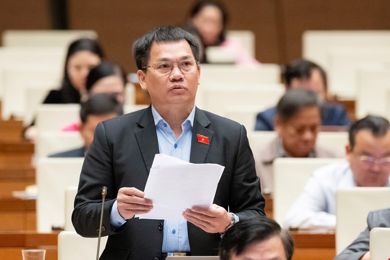 Dai bieu Quoc hoi Duong Khac Mai phat bieu. Anh: Quochoi.vn