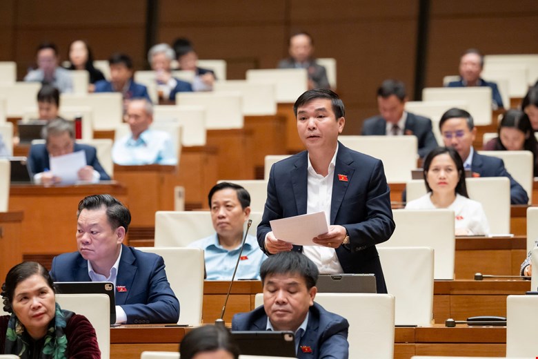 Dai bieu Quoc hoi Ha Sy Huan phat bieu. Anh: Quochoi.vn