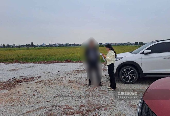 Moi gioi moi chao dat coc giu cho tai du an bat dong san trong khi hien trang du an la nhung canh lua nguoi dan canh tac o Tien Du (Bac Ninh). Anh: PV 