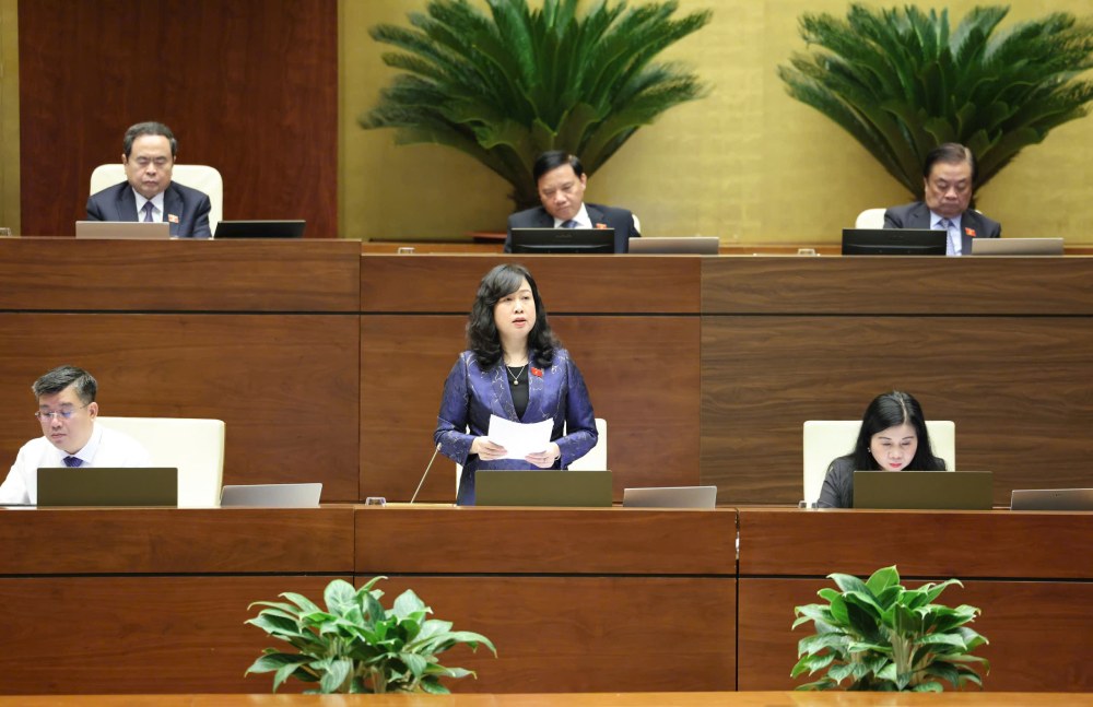 Bộ trưởng Bộ Y tế Đào Hồng Lan. Ảnh: Phạm Đông