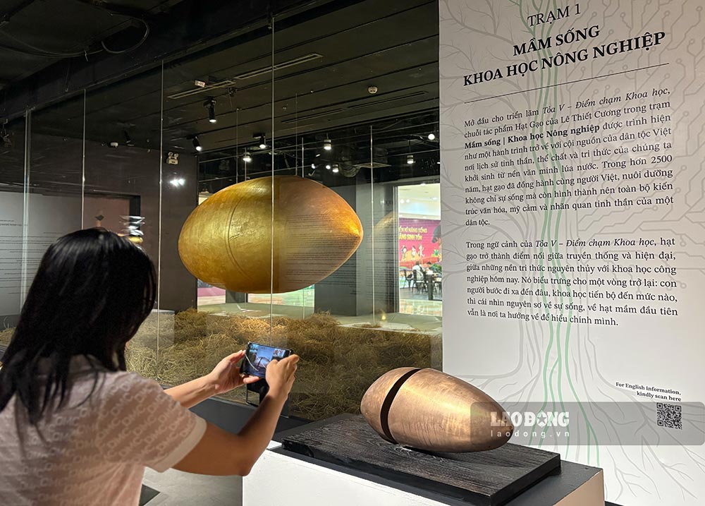 Các tác phẩm kể về ký ức của hạt gạo được thực hiện bởi cố nghệ sĩ Lê Thiết Cương. Ảnh: Ý Yên