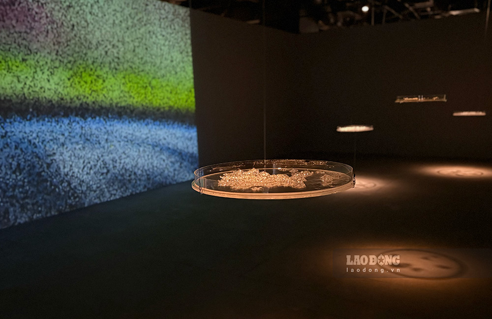 Tác giả Lê Giang đem đến tác phẩm có tên “142 vòng quanh quỹ đạo Trái đất”, lấy cảm hứng từ hành trình của Phạm Tuân, phi hành gia đầu tiên của Việt Nam bay vào vũ trụ năm 1980 và đem theo cây bèo hoa dâu làm thí nghiệm khoa học. Ảnh: Ý Yên