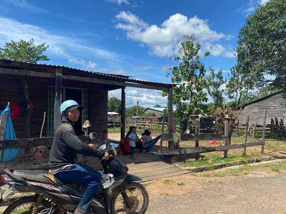 Projects converting from forest land to rubber cultivation have not yet created jobs for local workers. Photo: Thanh Tuan