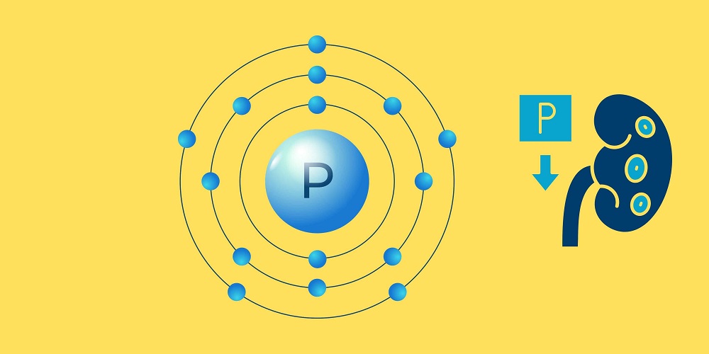 Ly do co the can phot pho de duy tri suc khoe. Do hoa: Bao Anh