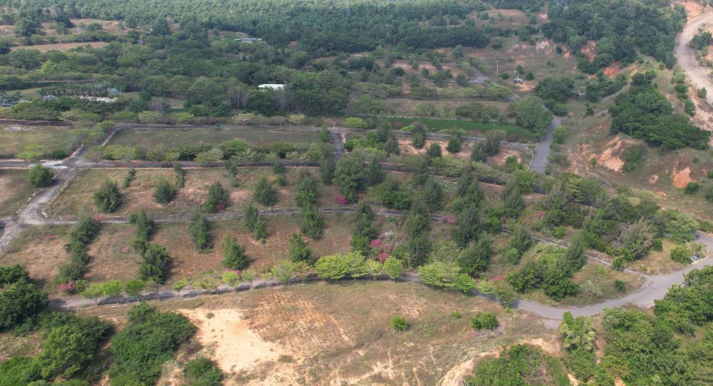 Ben trong du an da tham nhua duong giao thong noi bo, xay dung nha lam viec, cong vien, ho boi, he thong cap, thoat nuoc, dien va trong cay xanh doc theo via he…