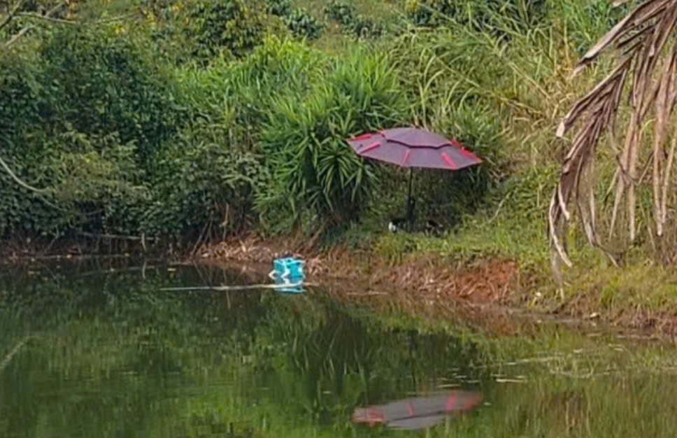 Coffee irrigation lake, where a young man in Lam Dong was found fishing for fish. Photo: Provided by the people