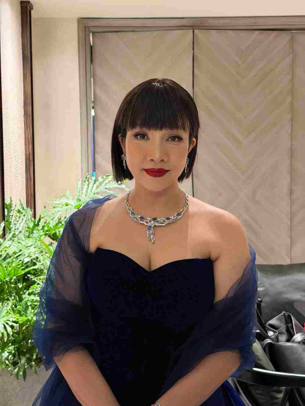 My Linh gay “on ao” voi dien mao khac la. Anh: Nghe si cung cap