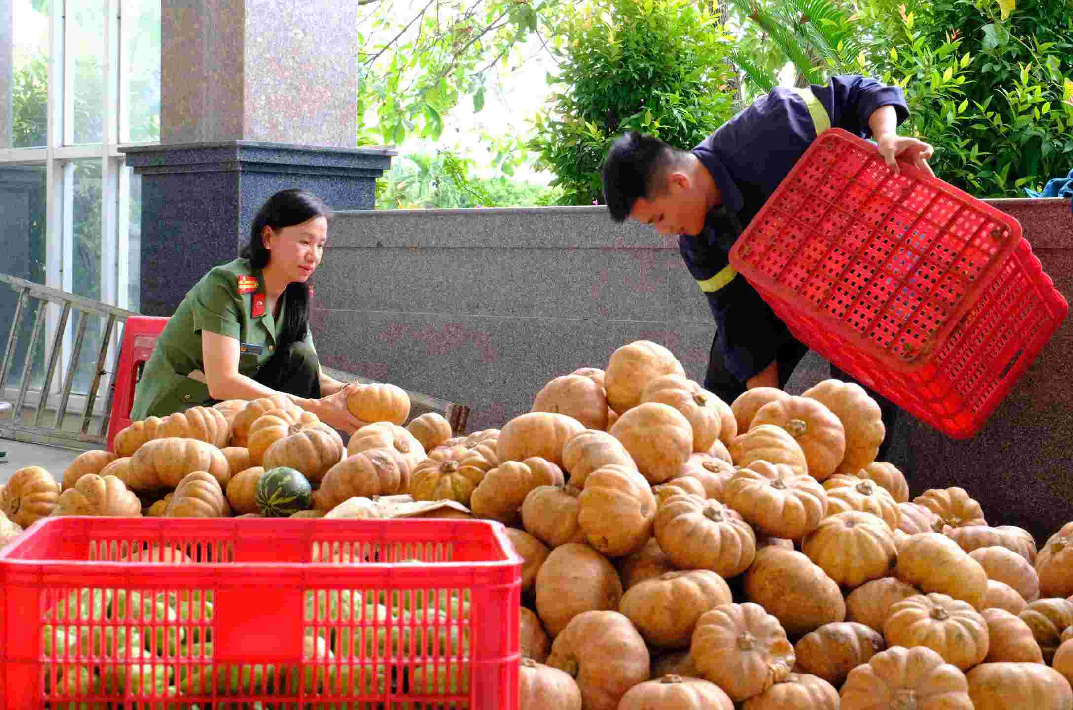 Khoang 34 tan rau cu qua da duoc cac can bo chien si phan loai, van chuyen den nguoi dan vung lu o tinh Khanh Hoa. Anh: Cong an Lam Dong cung cap