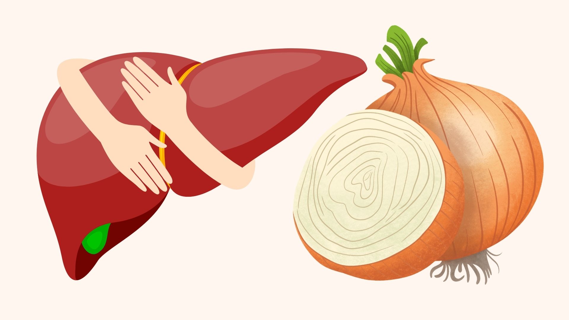 サラダが肝臓の解毒をサポートするのに役立つとは思いませんでした。イラスト:リン・ダン