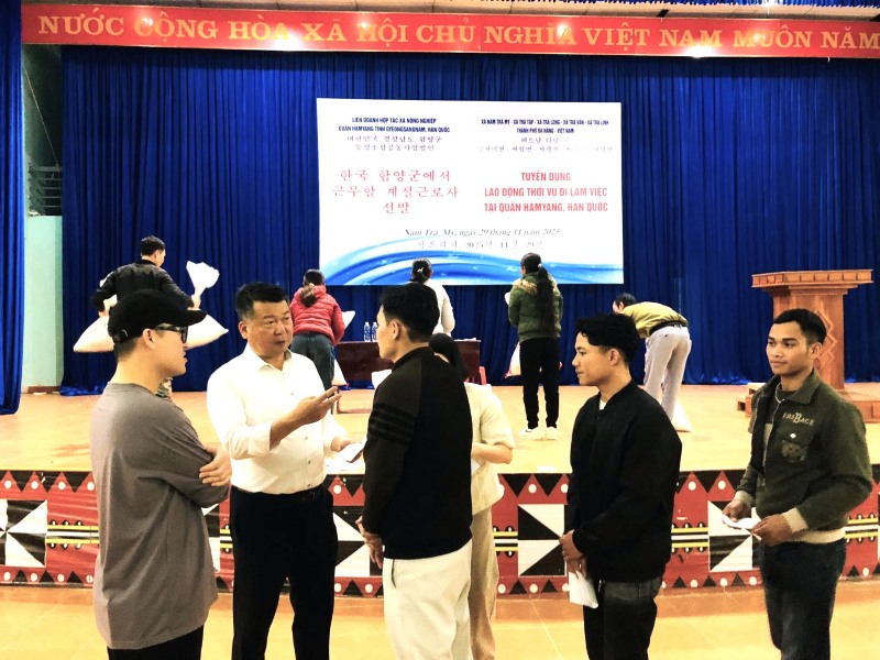 Income of hundreds of millions for workers in the mountainous areas of Da Nang when working in Hamyang district (Korea). Photo: Trung Le