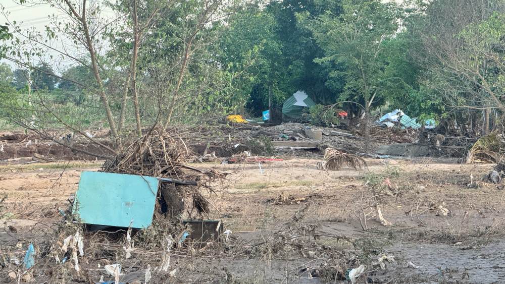 Rac, xac cay bi nuoc lu cuon den va ket lai tai khu dat cua nguoi dan. Anh: Duy Tuan 