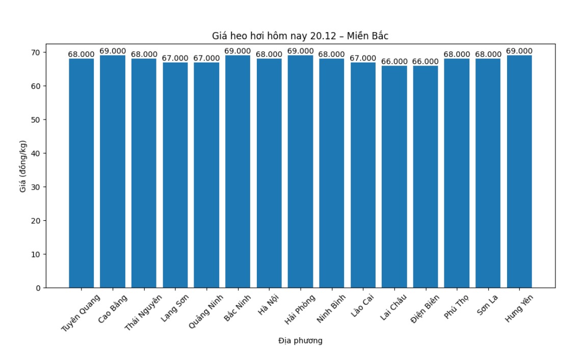 Gia heo hoi hom nay 20.12 tai khu vuc mien Bac. Do hoa: Thuy Linh