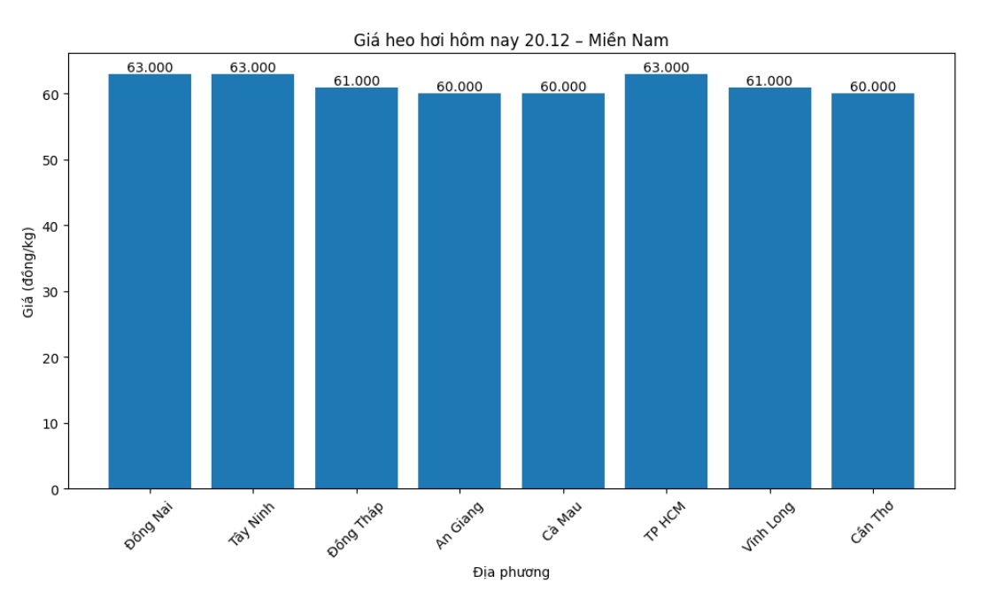 Gia heo hoi hom nay 20.12 tai khu vuc mien Nam. Do hoa: Thuy Linh