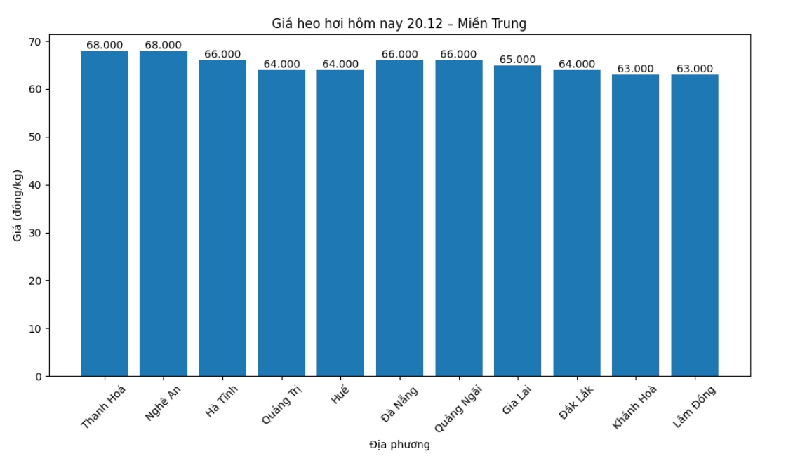Gia heo hoi hom nay 20.12 tai khu vuc mien Trung. Do hoa: Thuy Linh