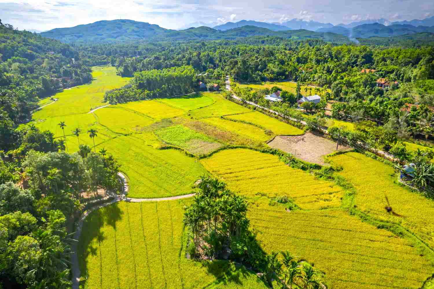 Moi truong tu nhien va con nguoi thuan hau la mot trong nhung yeu to quan trong de phat trien mo hinh du lich nong nghiep o vung ngheo. Anh: Nguyen Trinh