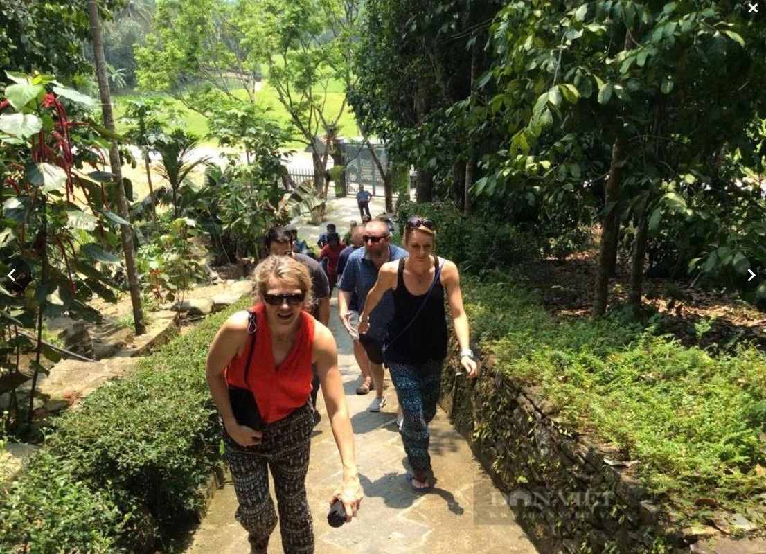 Le tourisme agricole aide de nombreux menages agricoles des zones rurales a sortir de la pauvrete et a se developper durablement. Photo : Truong Hong