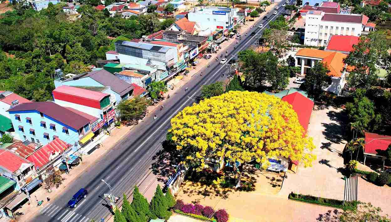 Quoc lo 20 - huyet mach giao thong ket noi tinh Lam Dong voi vung kinh te trong diem phia Nam di qua cao nguyen Di Linh. Anh: Phuc Khanh 