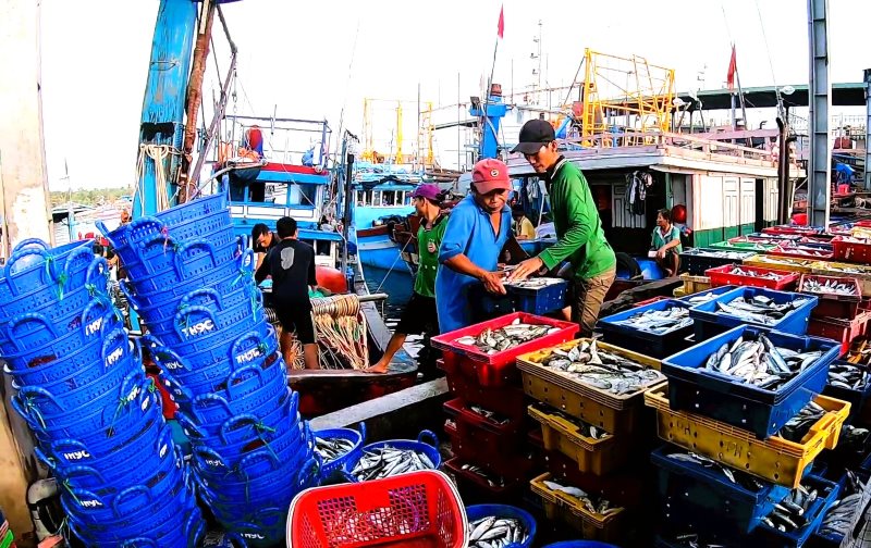 Cong doan va Nghiep doan nghe ca luon dong hanh, ho tro ngu dan Da Nang vuon khoi va go the vang thuy san. Anh: Hoang Bin