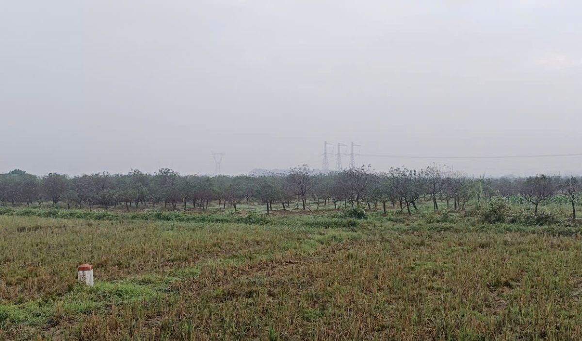 Xa Xuan Du duoc xem la thu phu dao phai lon nhat xu Thanh, voi dien tich len toi hang tram ha. Anh: Quach Du