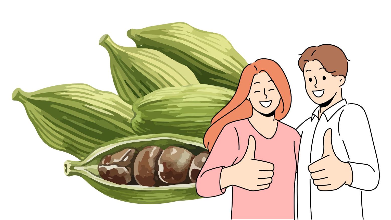 Eating nutmeg has many health benefits. Graphics: Thanh Thanh