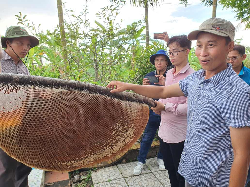 Do con giu duoc dien rung tram nguyen sinh nen khu du lich Muoi Ngot so huu nhieu nhat to ong tu nhien U Minh Ha, Ca Mau. Anh: Nhat Ho