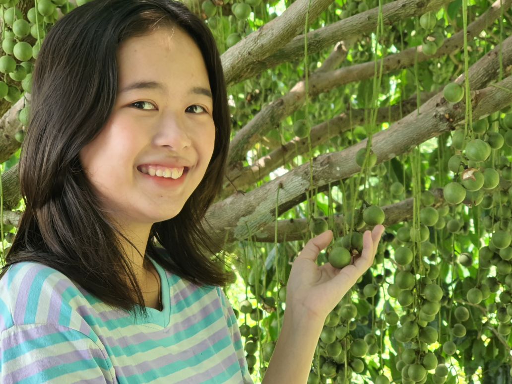 Khach tham quan vuon dau Ba Liem, Ca Mau. Anh: Nhat Ho