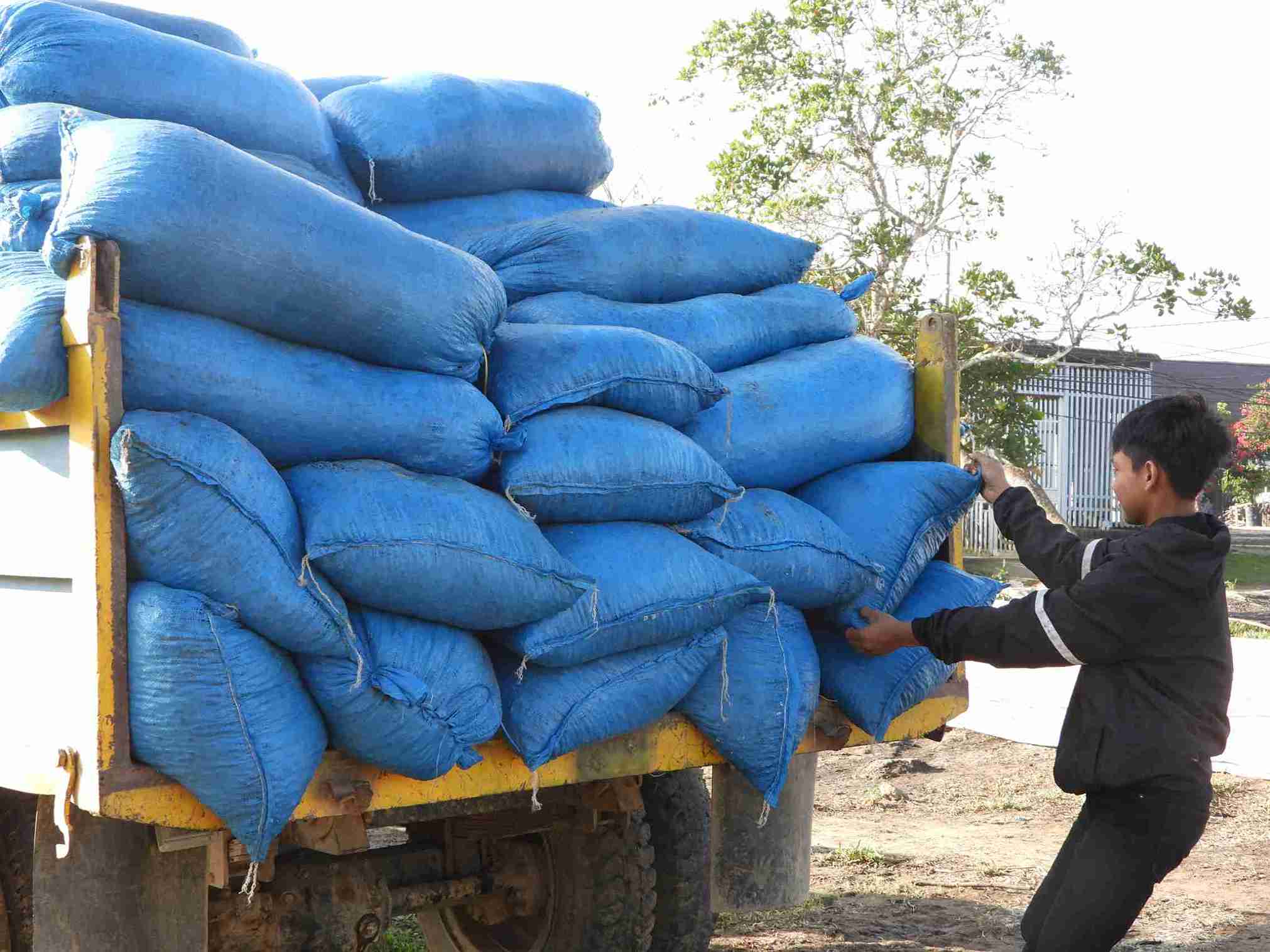 Thanh nien trong do tuoi lao dong o dia ban cham chi lam an, cai thien cuoc song. Anh: Bao Lam