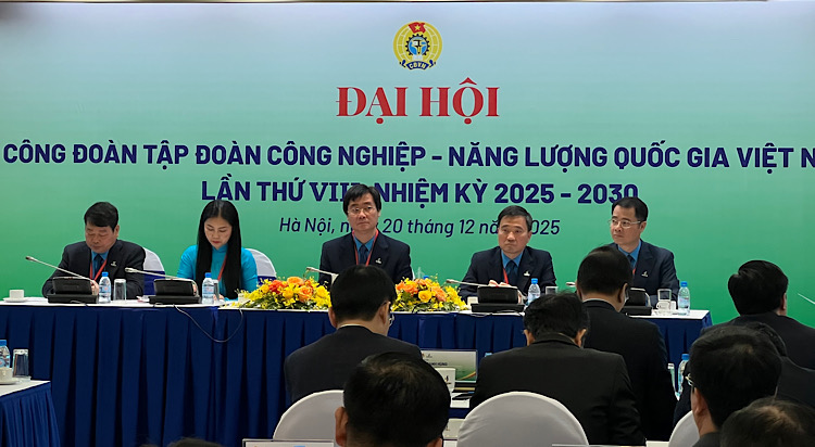 Dai hoi dien ra ngay 20.12 tai Ha Noi. Anh: Kieu Vu