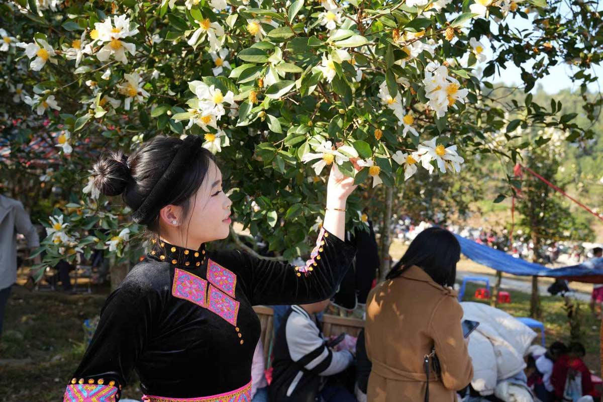 Tourists enjoy taking photos with the so-called "root blossoms" in Dong Long village, Luc Hon commune, Quang Ninh province. Photo: La Nhung