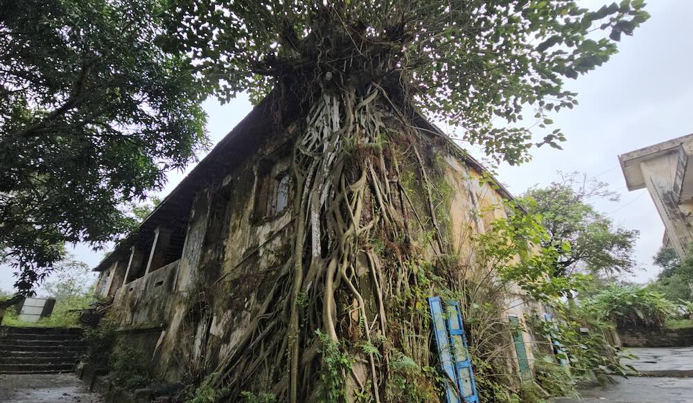 Dentro del area de 'ojos sagrados' que protege la capital de Hue desde la direccion del mar. Foto: Nguyen Luan