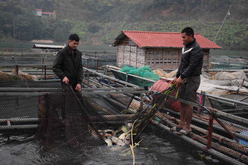 Nguoi dan xa Muong La cham soc ca long be. Anh: Nhat Minh