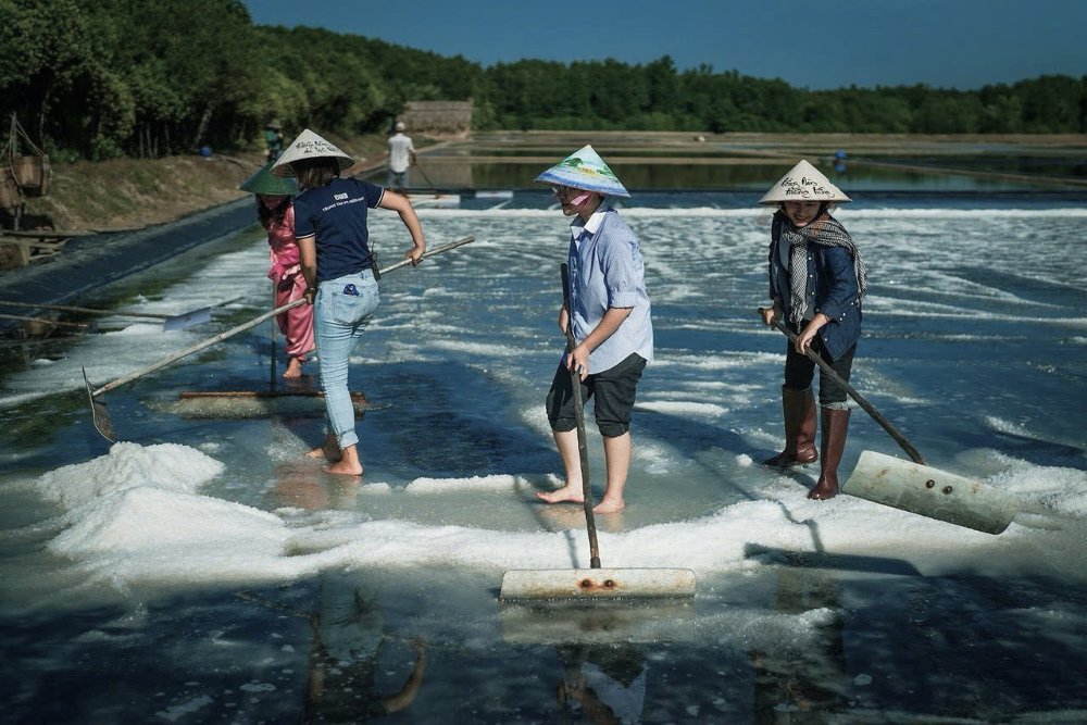 Diem dan Can Gio dang cao muoi tren ruong. Ảnh: Thai Bao