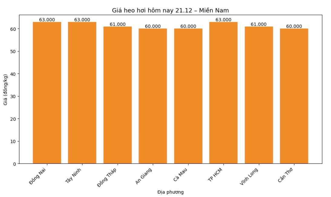 Gia heo hoi hom nay 21.12 tai khu vuc mien Nam. Do hoa: Thuy Linh  