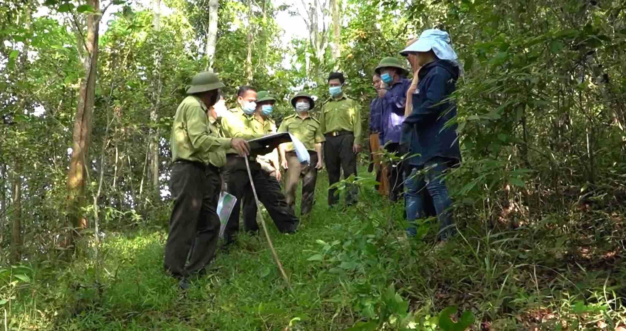 森林レンジャーは地元の人々と連携して、ゲアンの山岳地帯の森林を保護するための点検やパトロールを行っています。写真: ゴック・アン