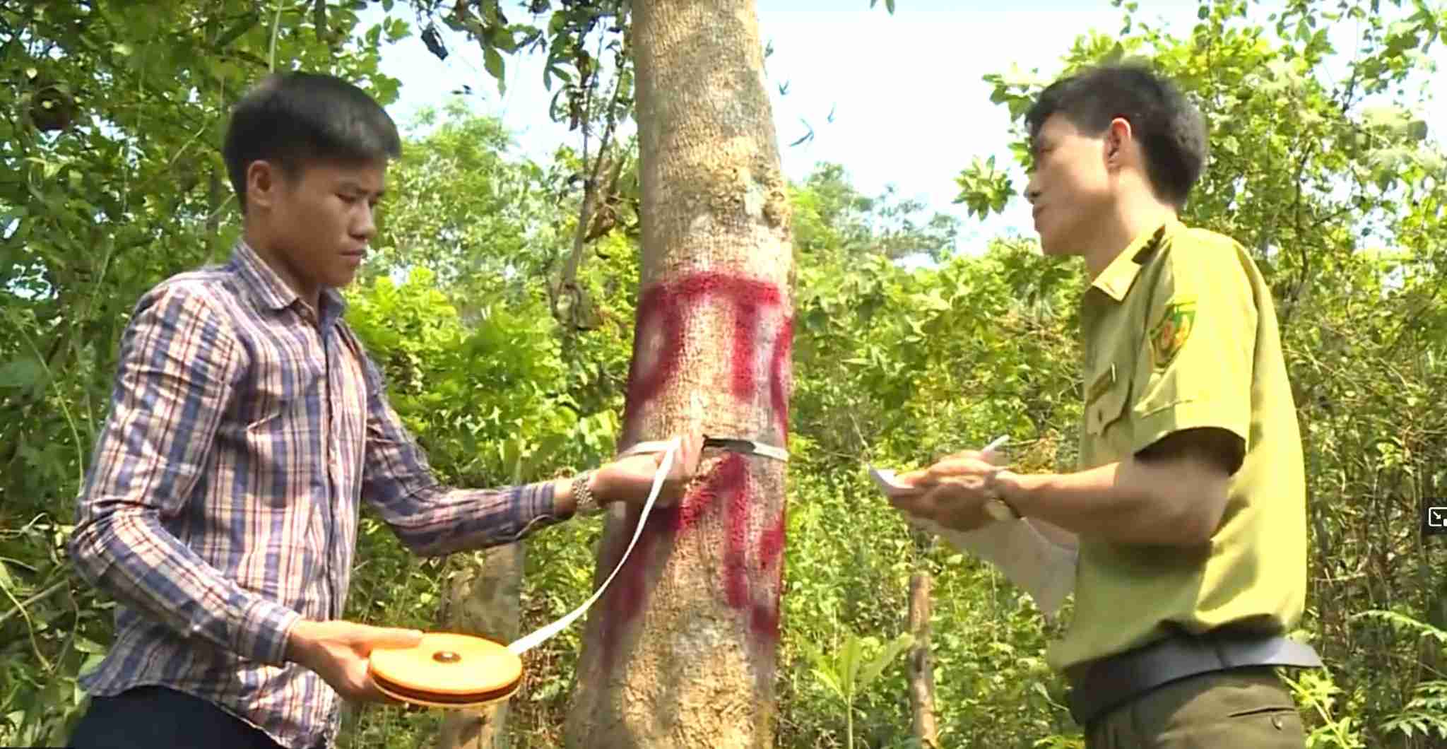 Kiem tra, do dac thuc dia phuc vu cong tac giao rung, khoanh nuoi va bao ve rung tai mien nui Nghe An. Anh: NGOC ANH