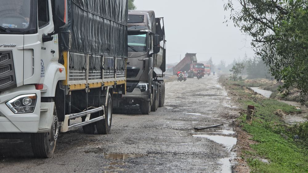 Mat duong day bun dat va o voi. Anh: Hung Tho