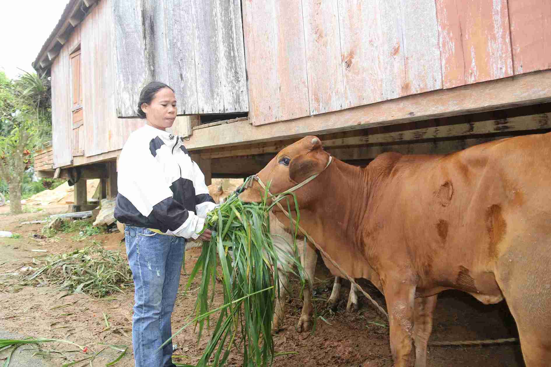 Chi H Jen Bya mong muon som duoc tham gia cac lop hoc nghe pho thong. Anh: Bao Lam