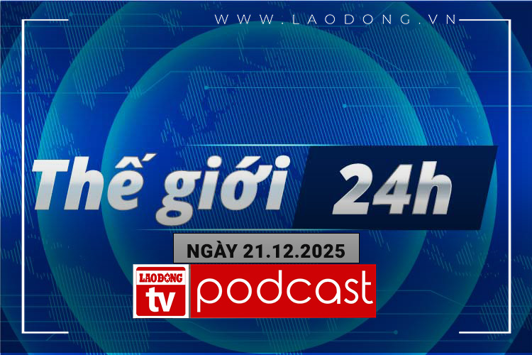 세계 24시: 2026년 금 가격 상승 추세에 대한 놀라운 예측