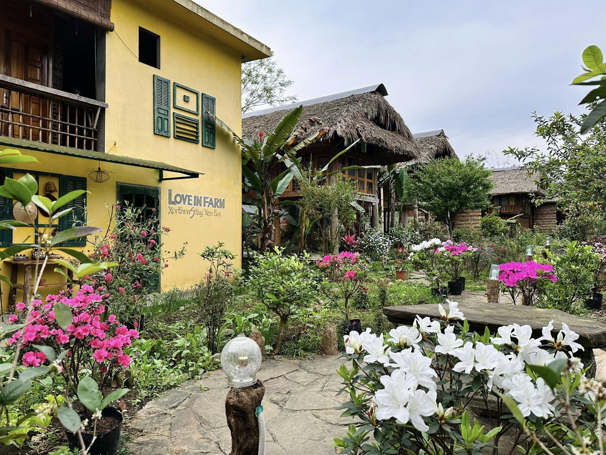 Farmstay tung buoc mo rong cua gia dinh. Anh: Hoang Thi Xoi