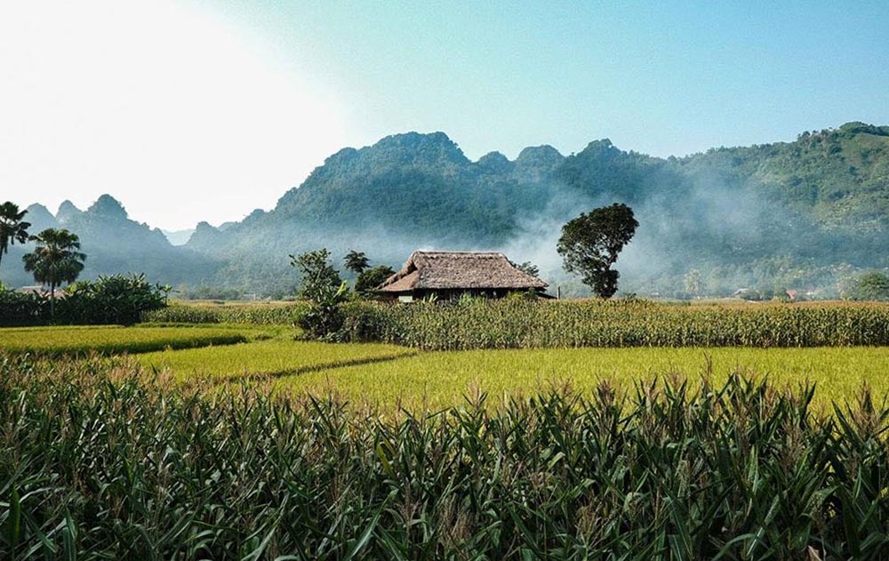 Ban lang cua nguoi Tay o Lam Thuong dang phat trien du lich cong dong. Anh: Hoang Thi Xoi