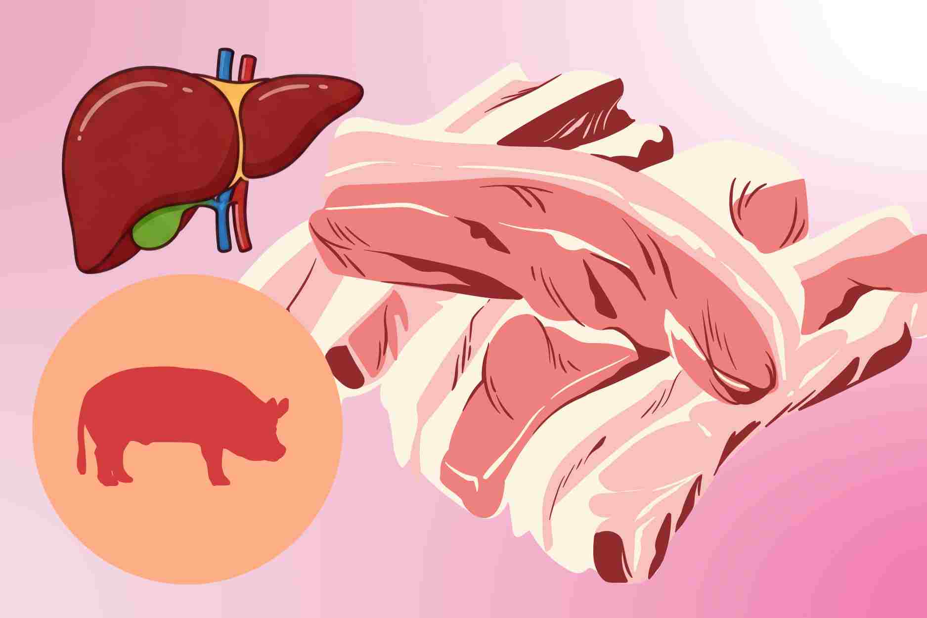 The secret to choosing pork to enhance liver protection