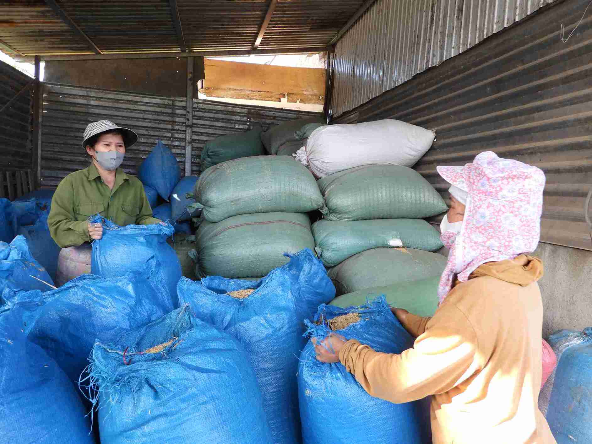 Nguoi dan xa cham chi lao dong san xuat. Anh: Bao Lam