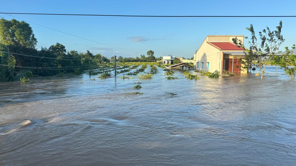 Mot khu vuc bi ngap sau hom 4.12 tai phuong Ham Thang (Lam Dong). Anh: Duy Tuan 