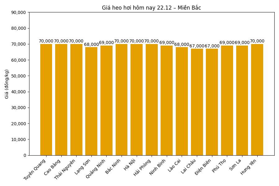 Gia heo hoi hom nay 22.12 tai khu vuc mien Bac. Do hoa: Thuy Linh