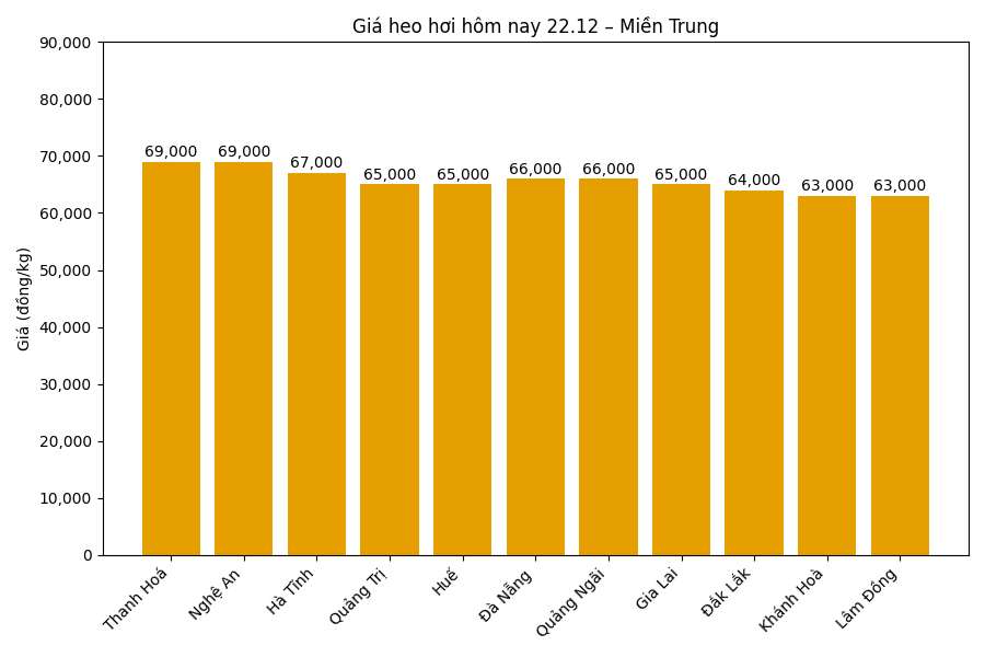 Gia heo hoi hom nay 22.12 tai khu vuc mien Bac. Do hoa: Thuy Linh 