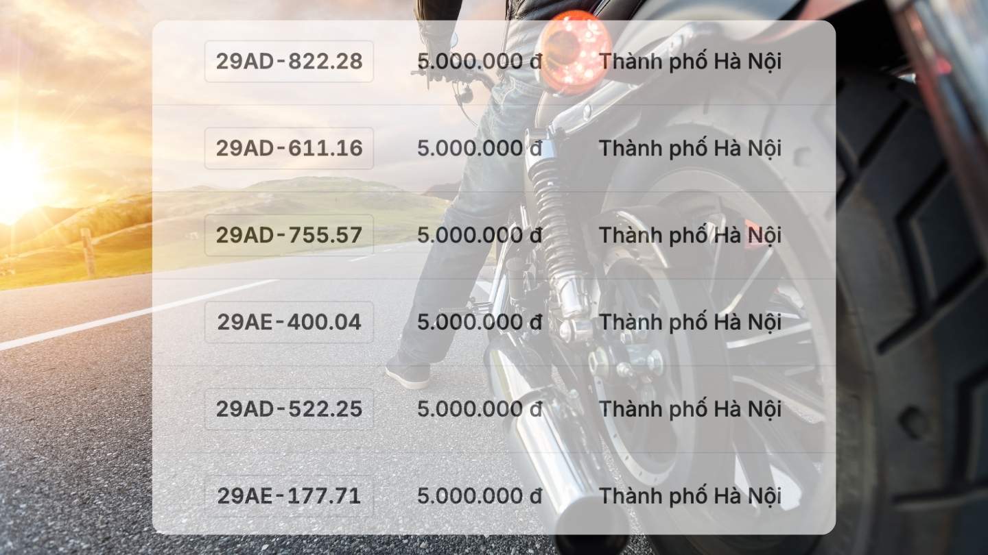 A pair of super beautiful license plates of Hanoi will be auctioned on December 22