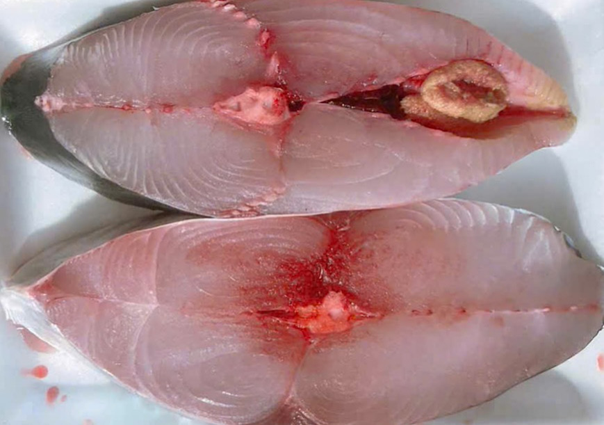 고등어는 목과 어깨 통증을 줄이는 데 도움이 되는 마그네슘 보충 식품 중 하나입니다. 사진: Kieu Vu