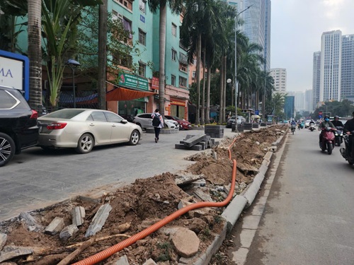 Hang cay ven duong da duoc di chuyen de mo rong duong. Anh: Minh Hanh 