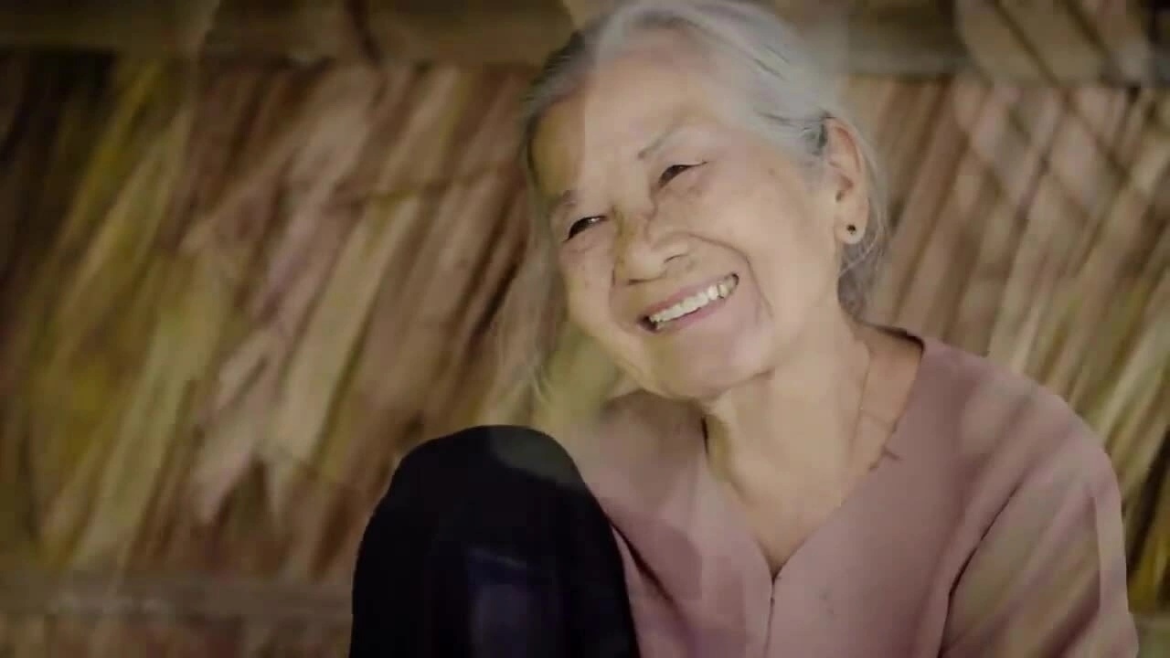 Nghe si Phi Dieu. Anh: Nghe si cung cap.