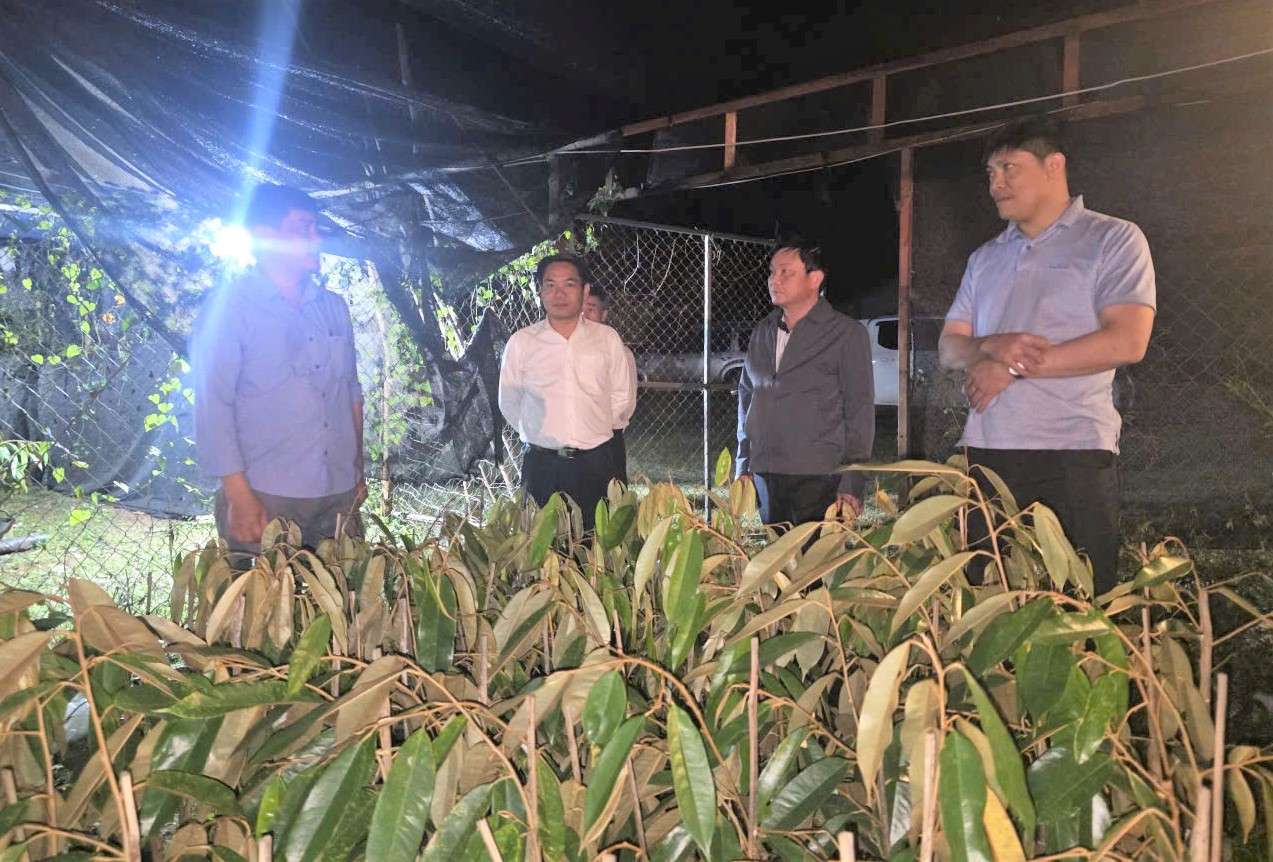 Lanh dao So Nong nghiep va Moi truong Lam Dong tham quan mo hinh san xuat giong cay sau rieng tai tinh Champasak. Anh: Hoang Phuc 